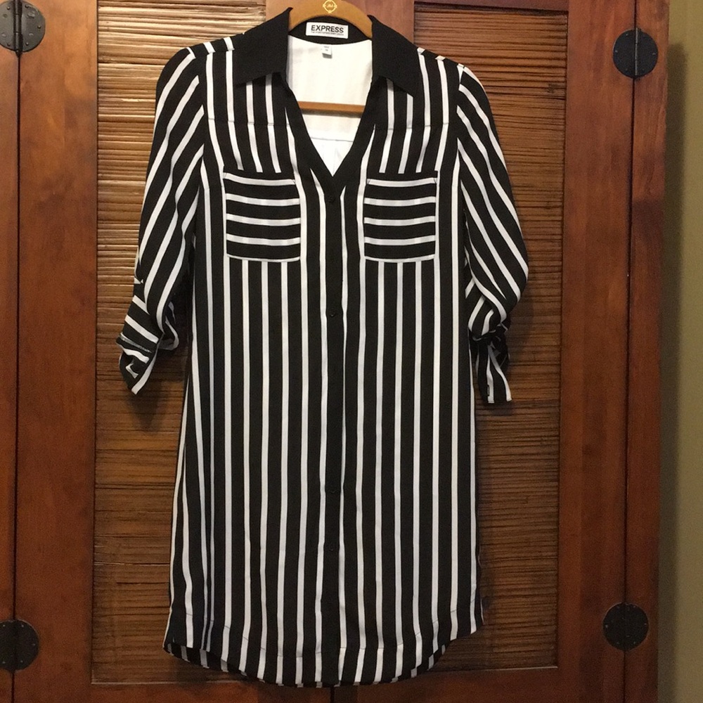 EXPRESS Portofino Shirt Dress